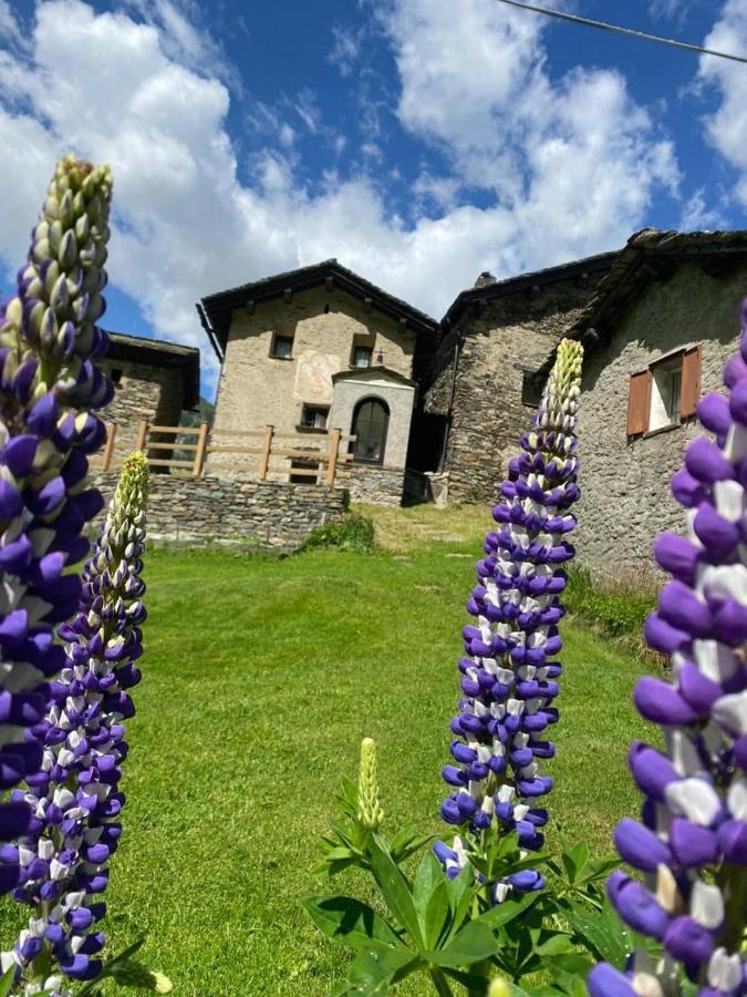 Hotel Casa Alpina San Luigi Prestone Exterior foto